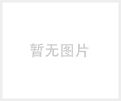 新款 iphone6手机壳 液态韩国小熊猫保护外壳